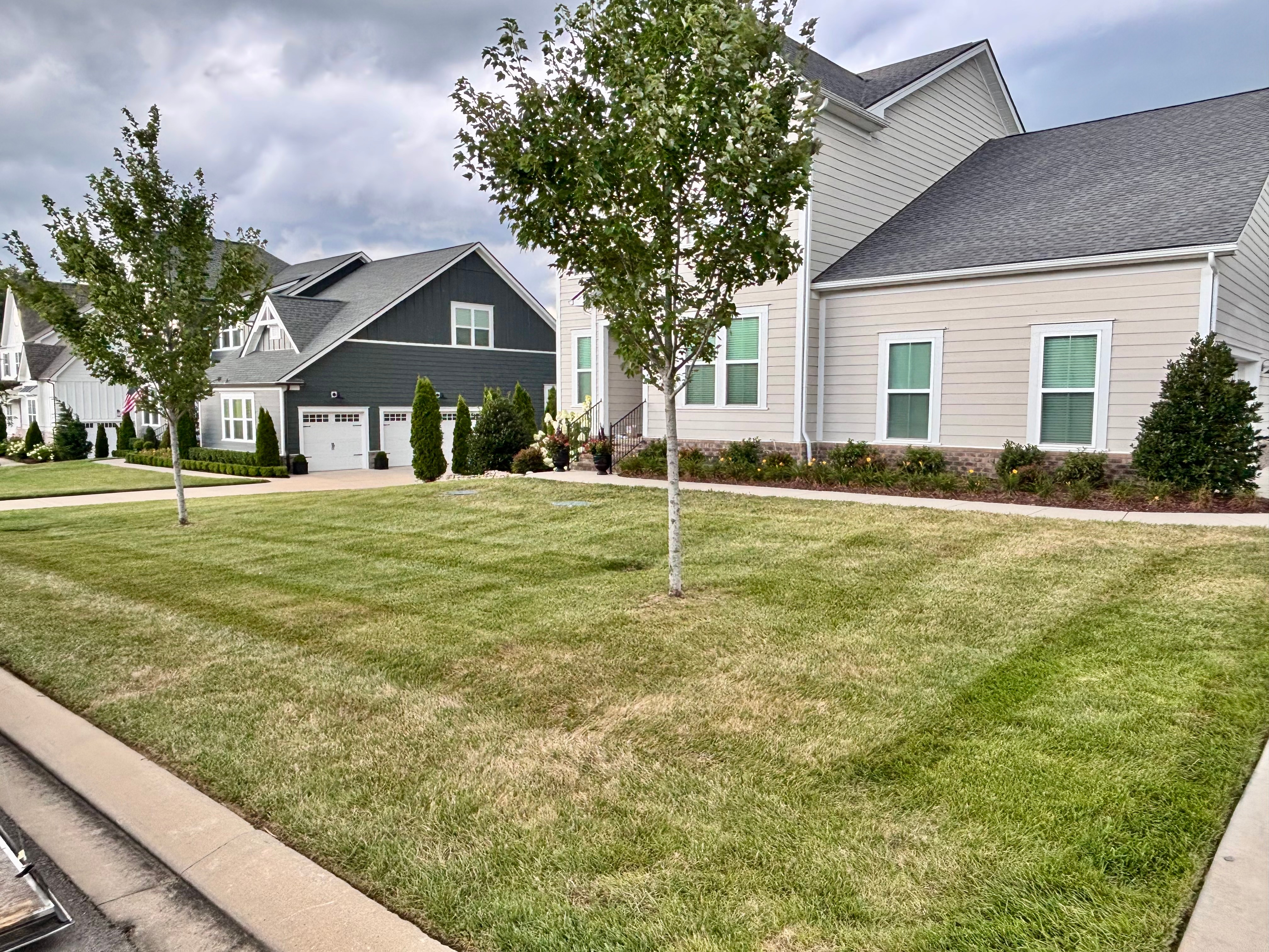 Beautifully striped neighborhood lawns