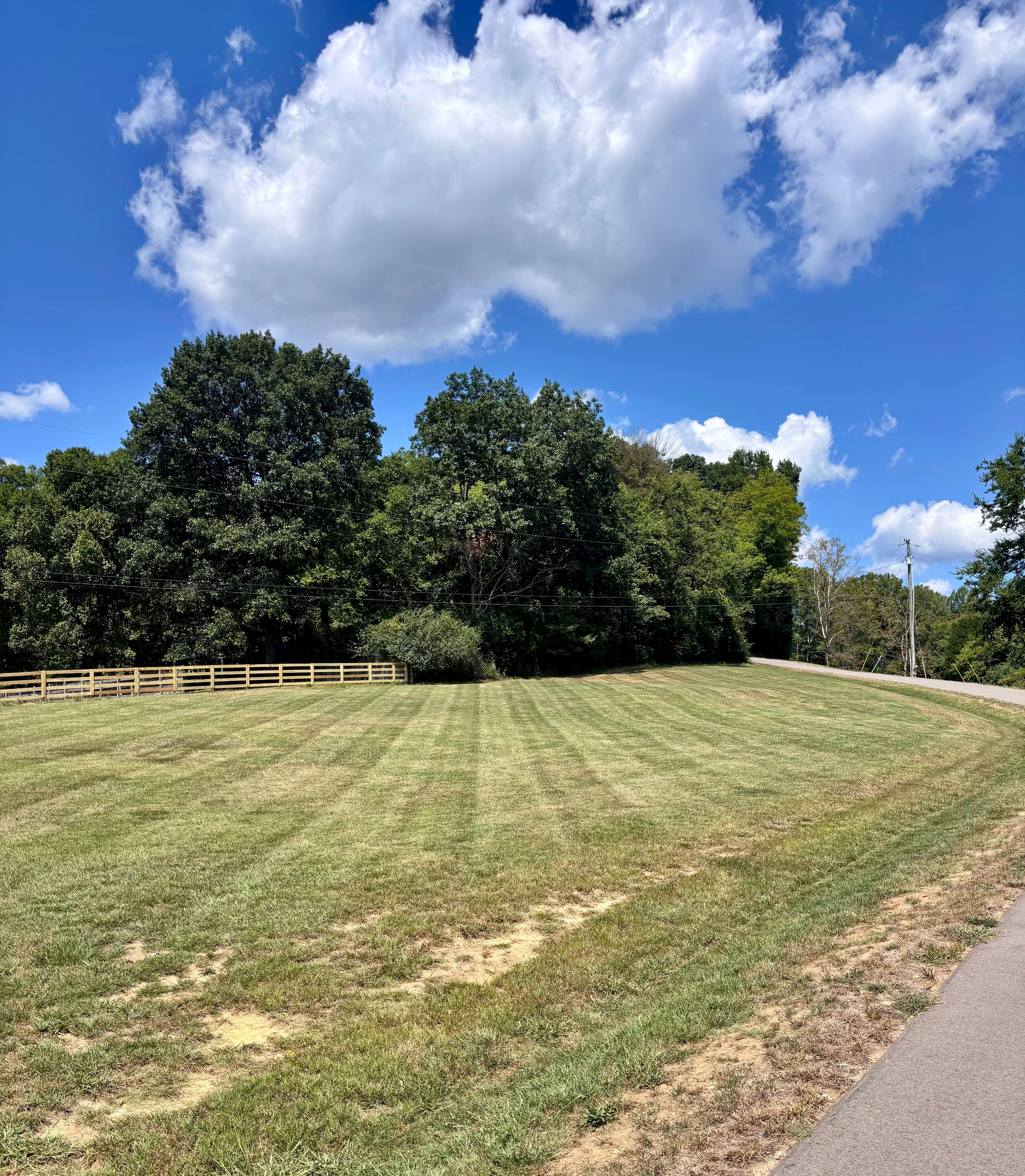 Residential lawn with perfect striping